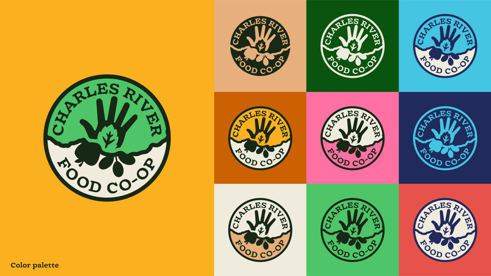 Banner Designs