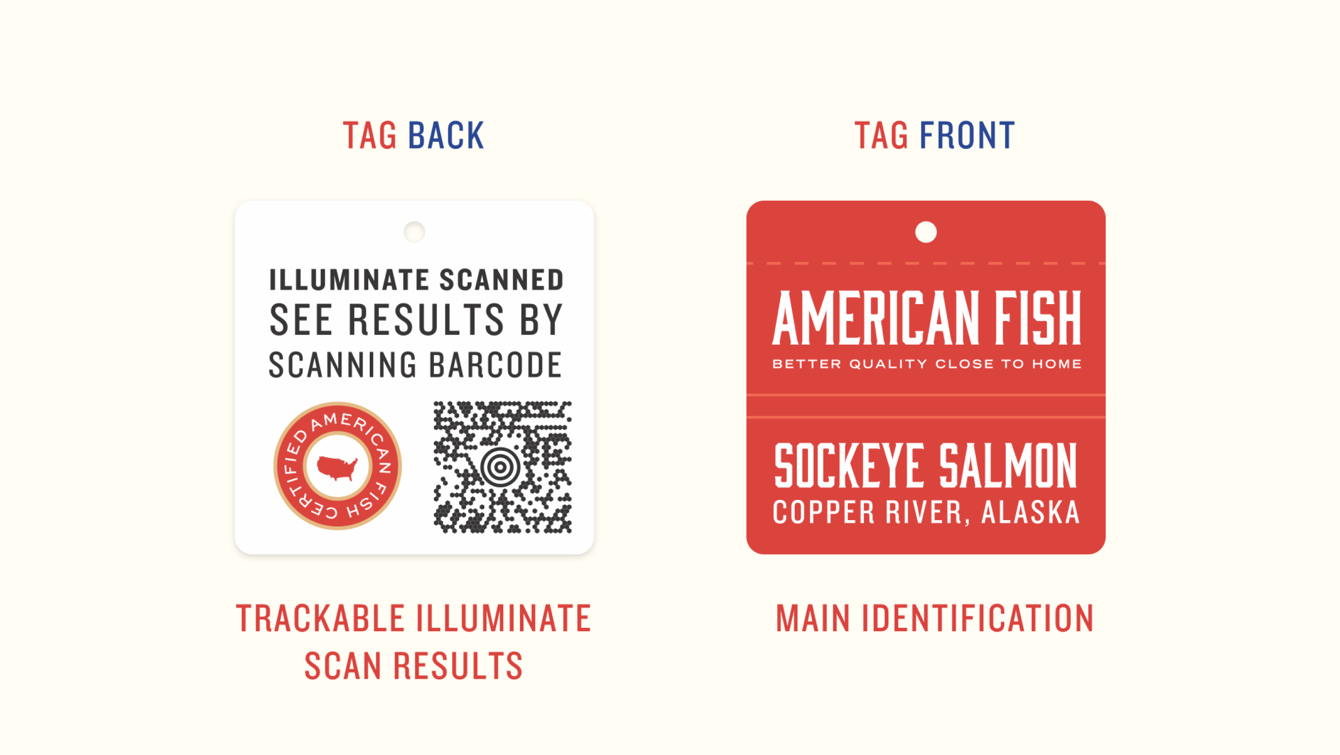 Banner Designs