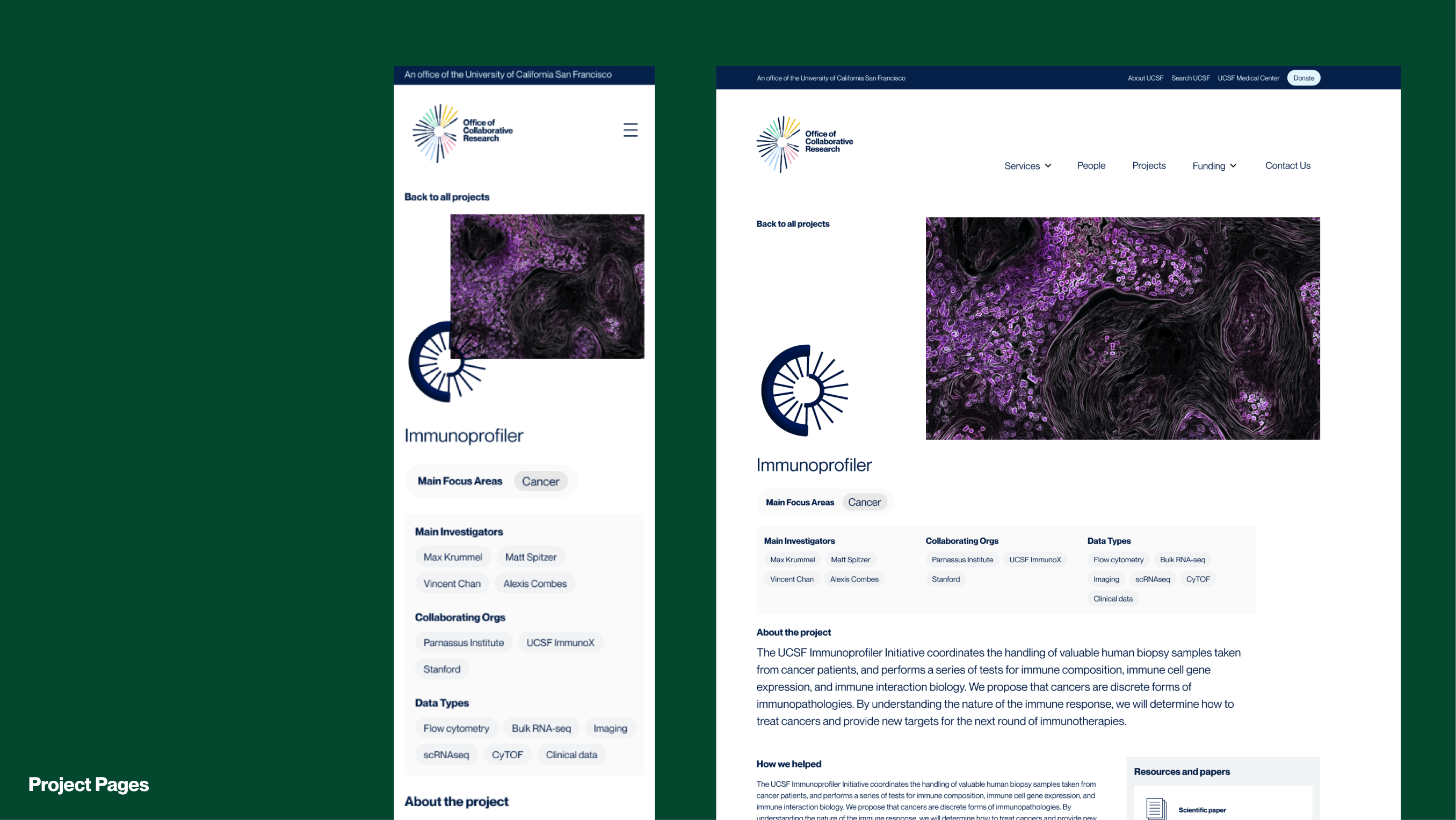 Banner Designs