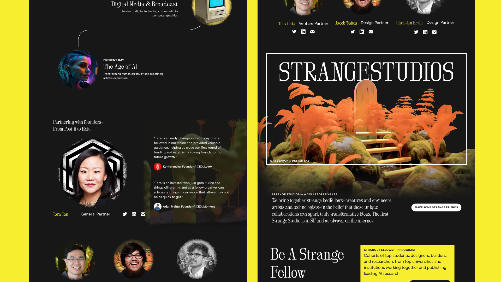 Banner Designs